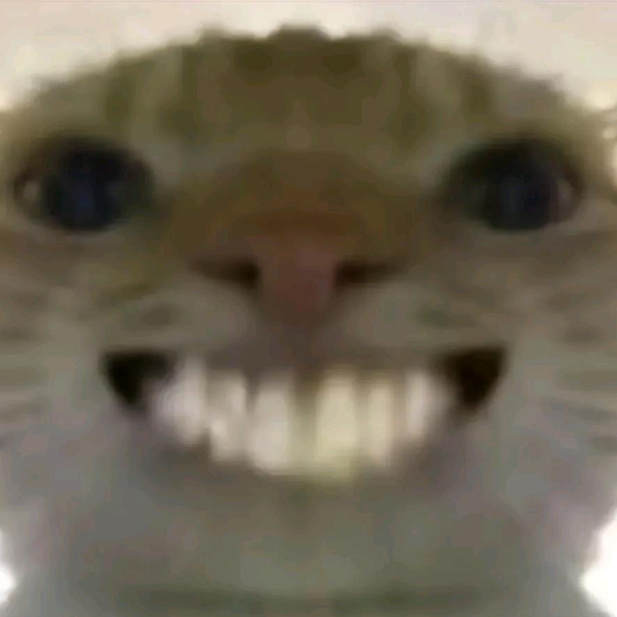 .. ：