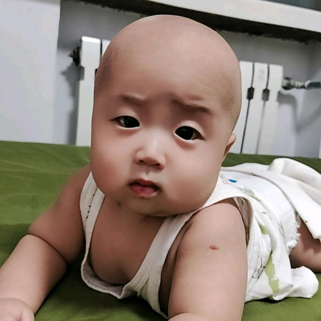 仔仔的快乐时光