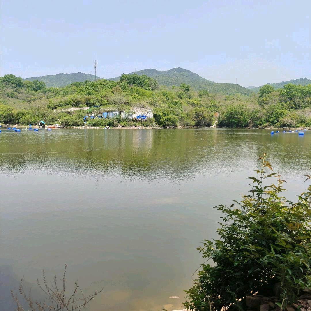 石榴花
