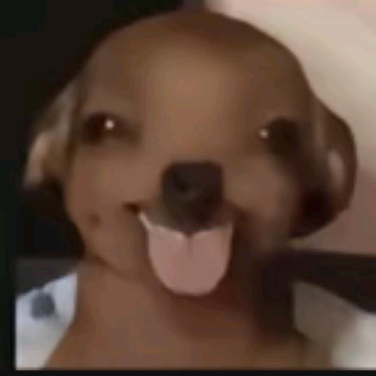 朔