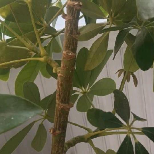 结善缘，一帆风顺