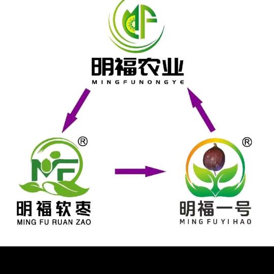 软枣猕猴桃奇异莓产业集团