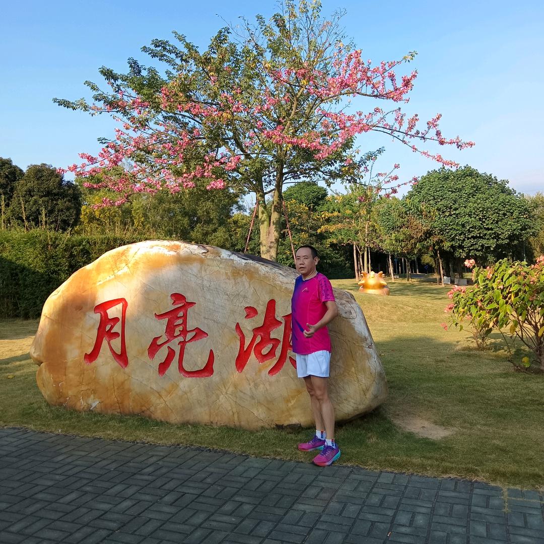 情深缘浅