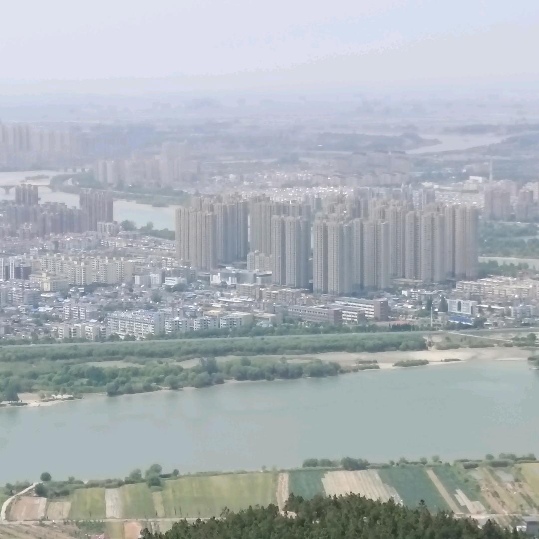 玫瑰