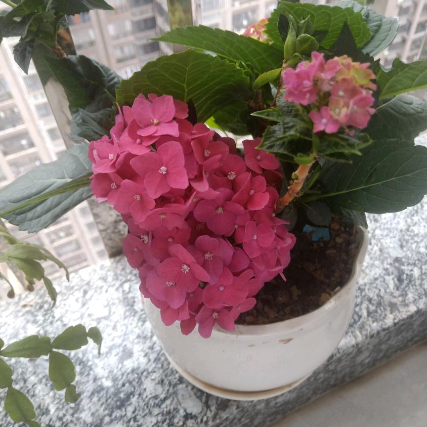 阳昕好物