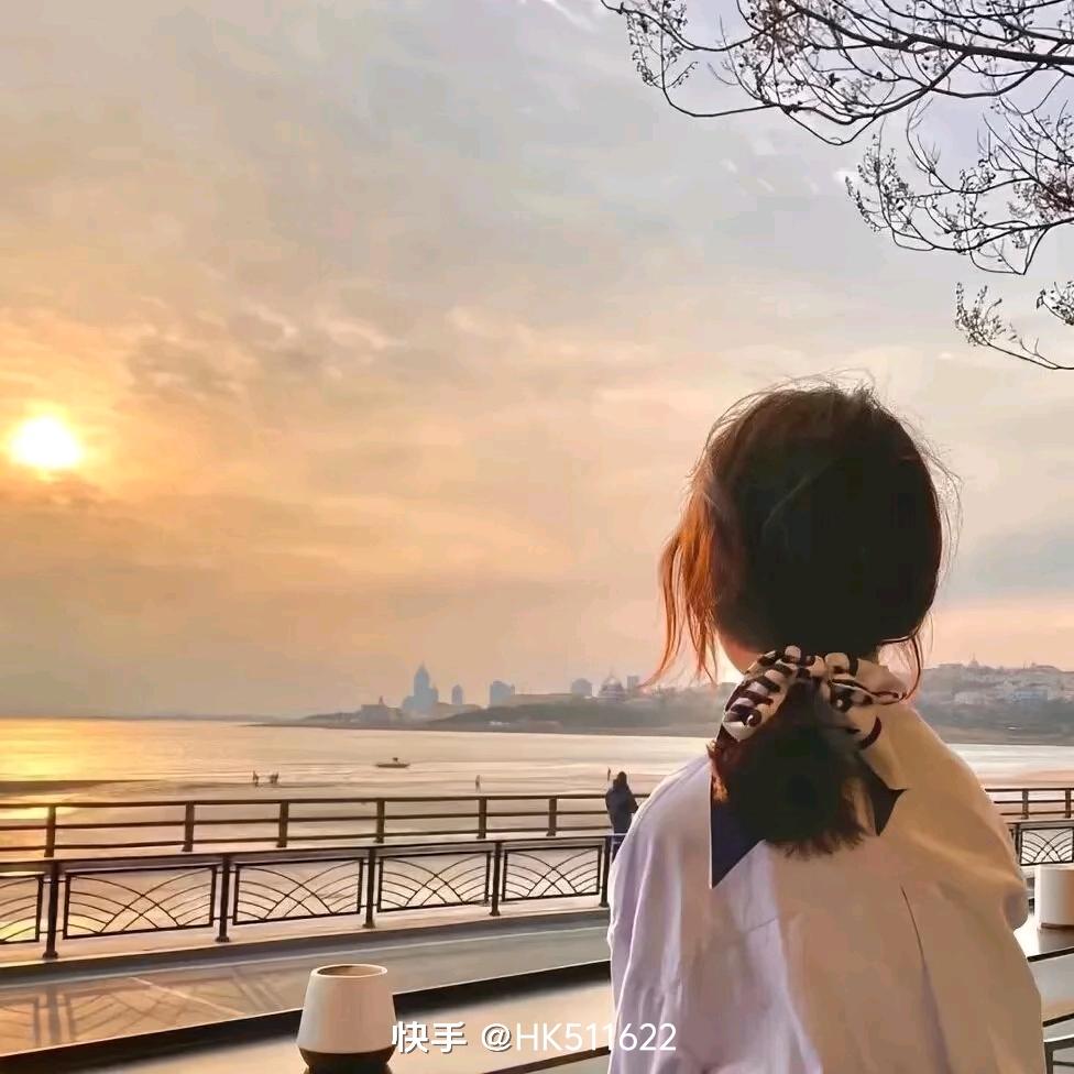 素锦