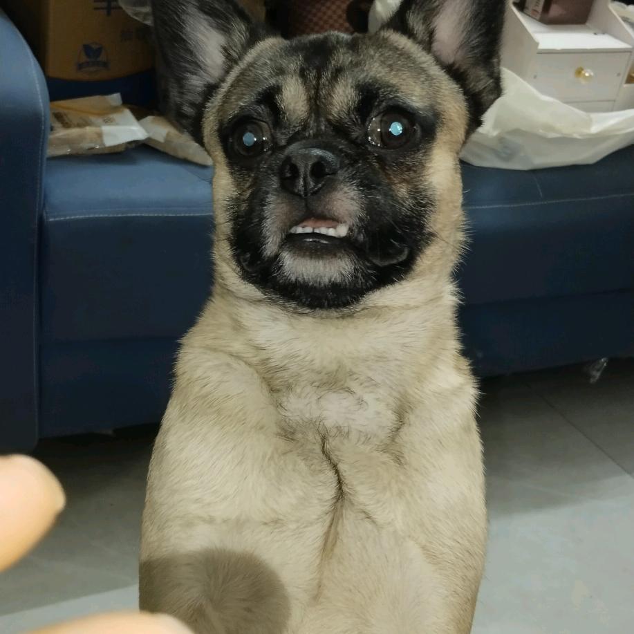 和睦相处