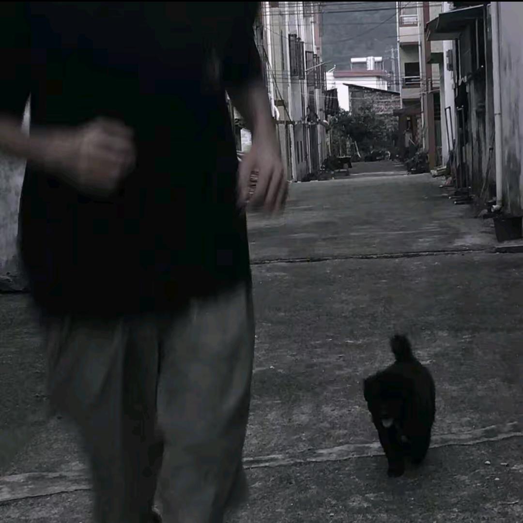 王者荣耀 冷瞳