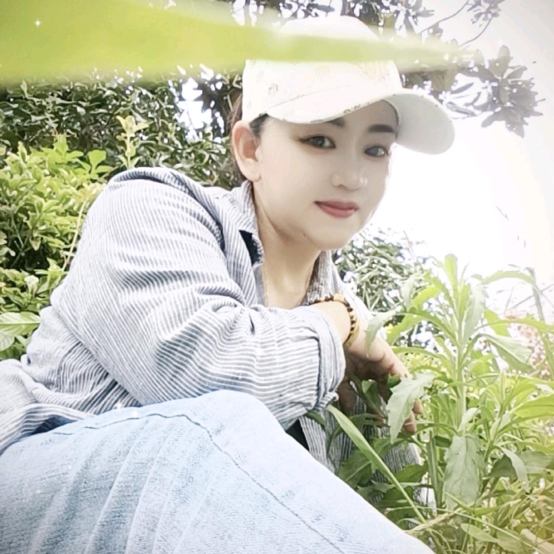 不肯走远，