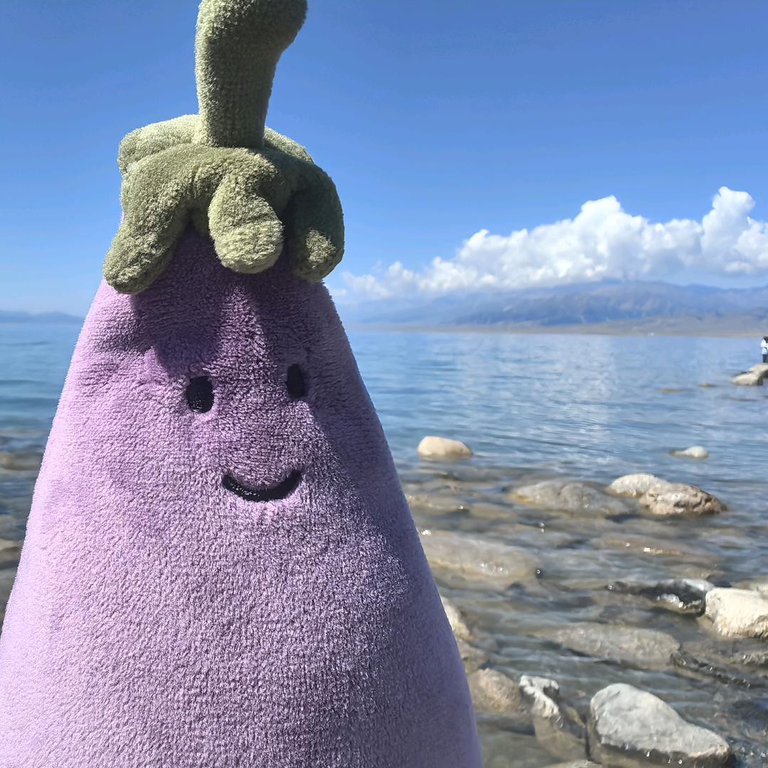 香樟之夏
