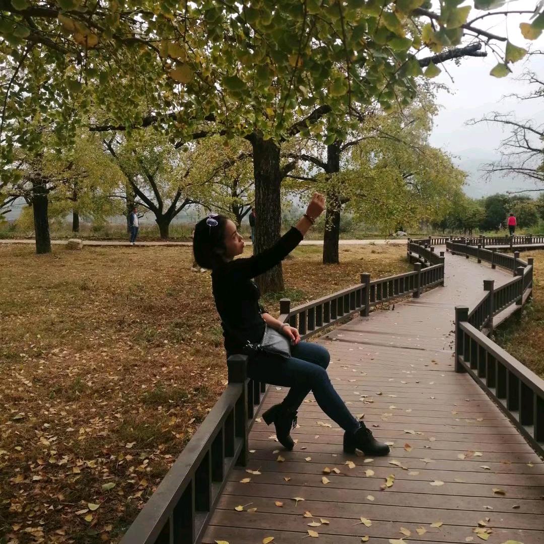 💞秦心修炼💘