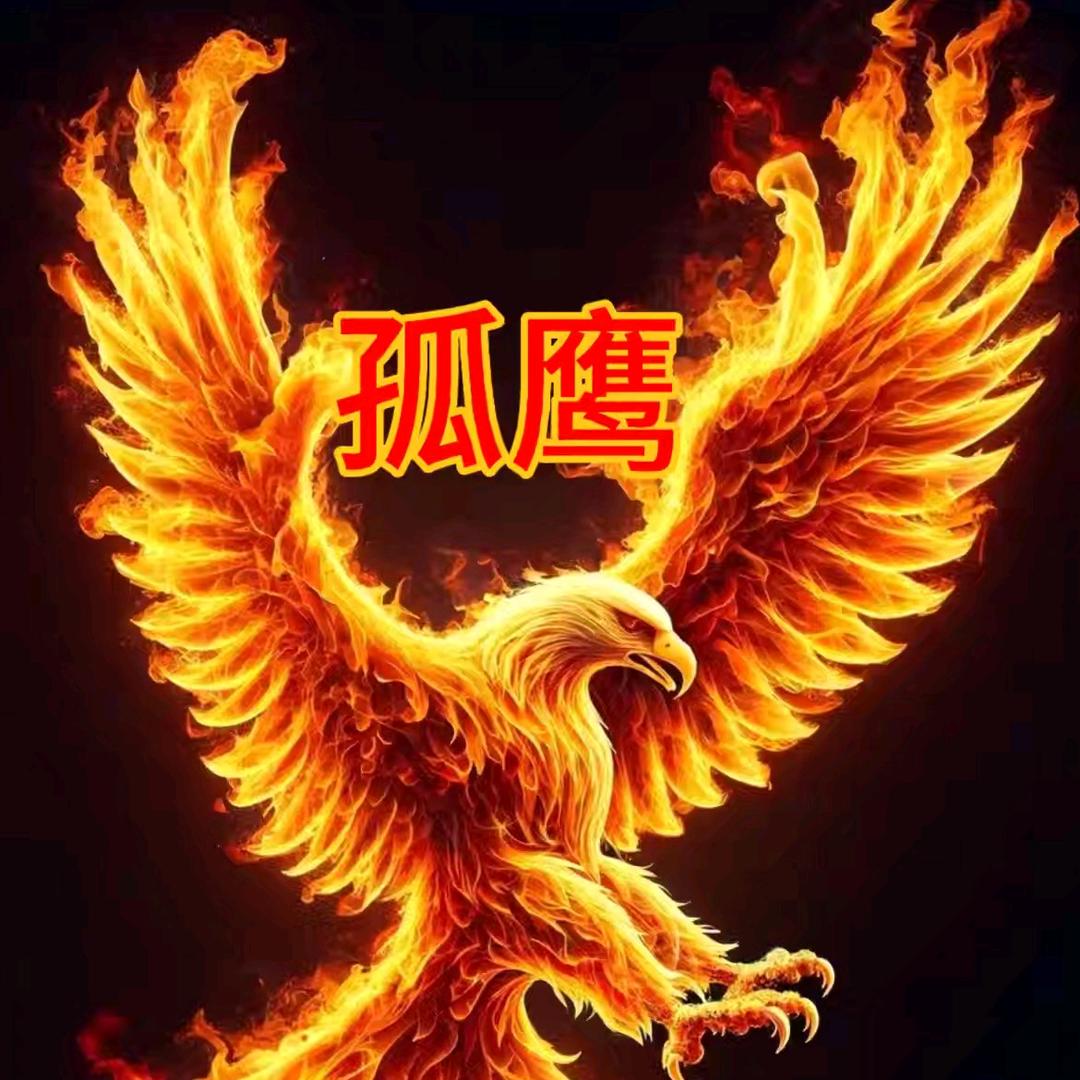 飞鹰¹⁶⁸