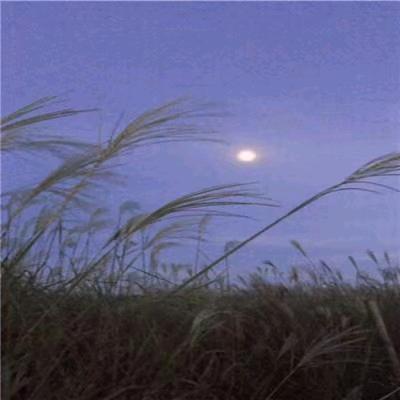 静竹先生