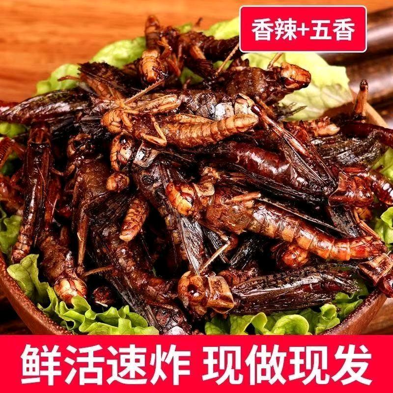 小娜家蚂蚱