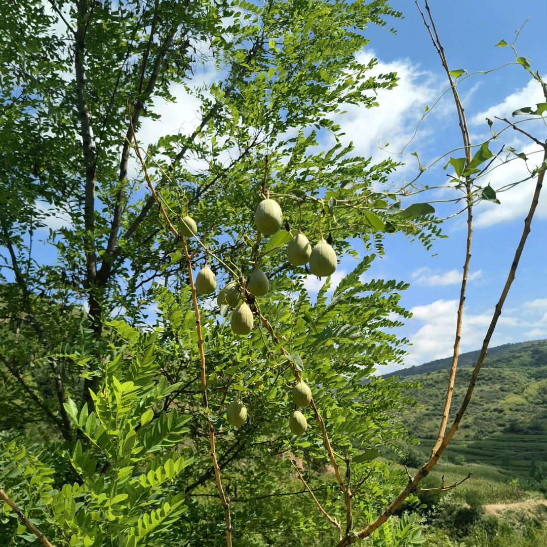 遇见