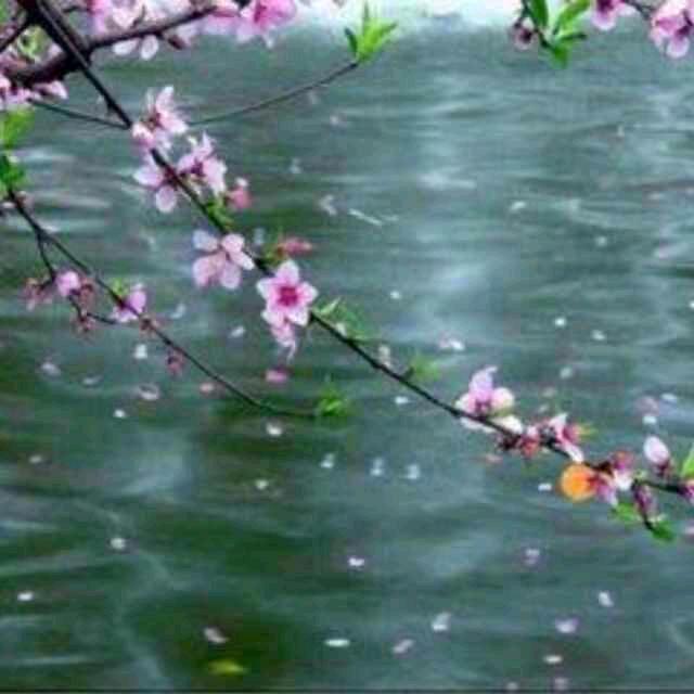 心存之恋（顺其自然）