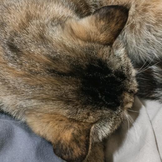 心软是病，情深致命。