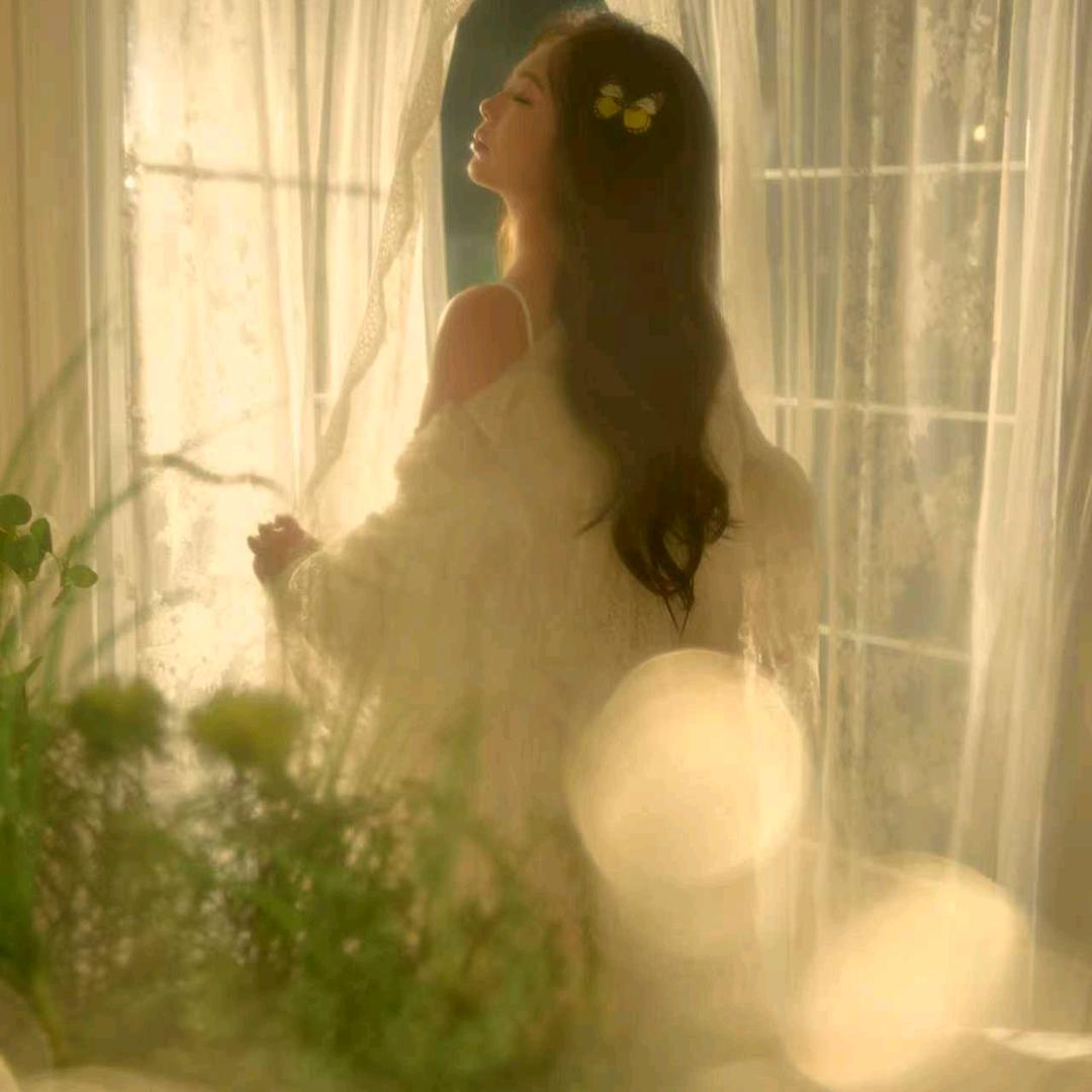 倾城之恋「互」今限明回