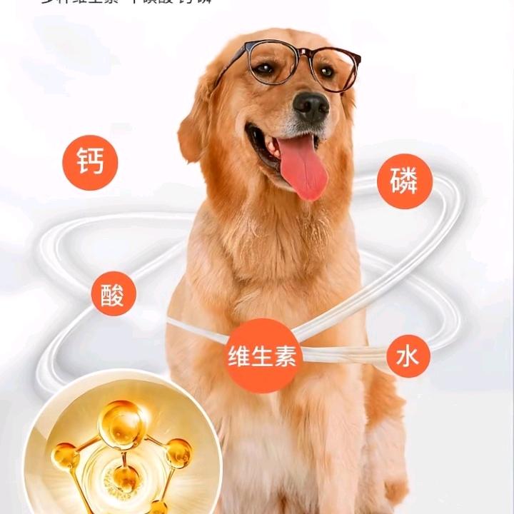 山东犬粮阿汪