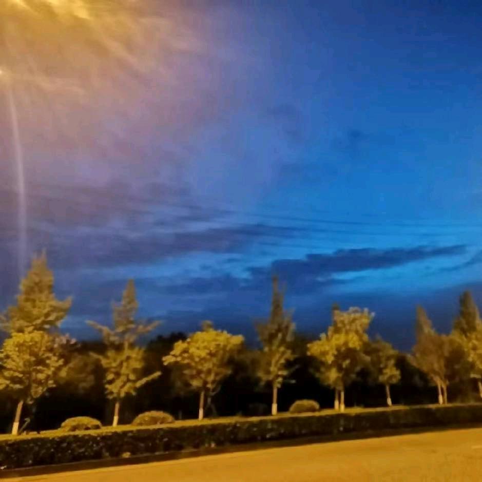 TianCheng   LUO