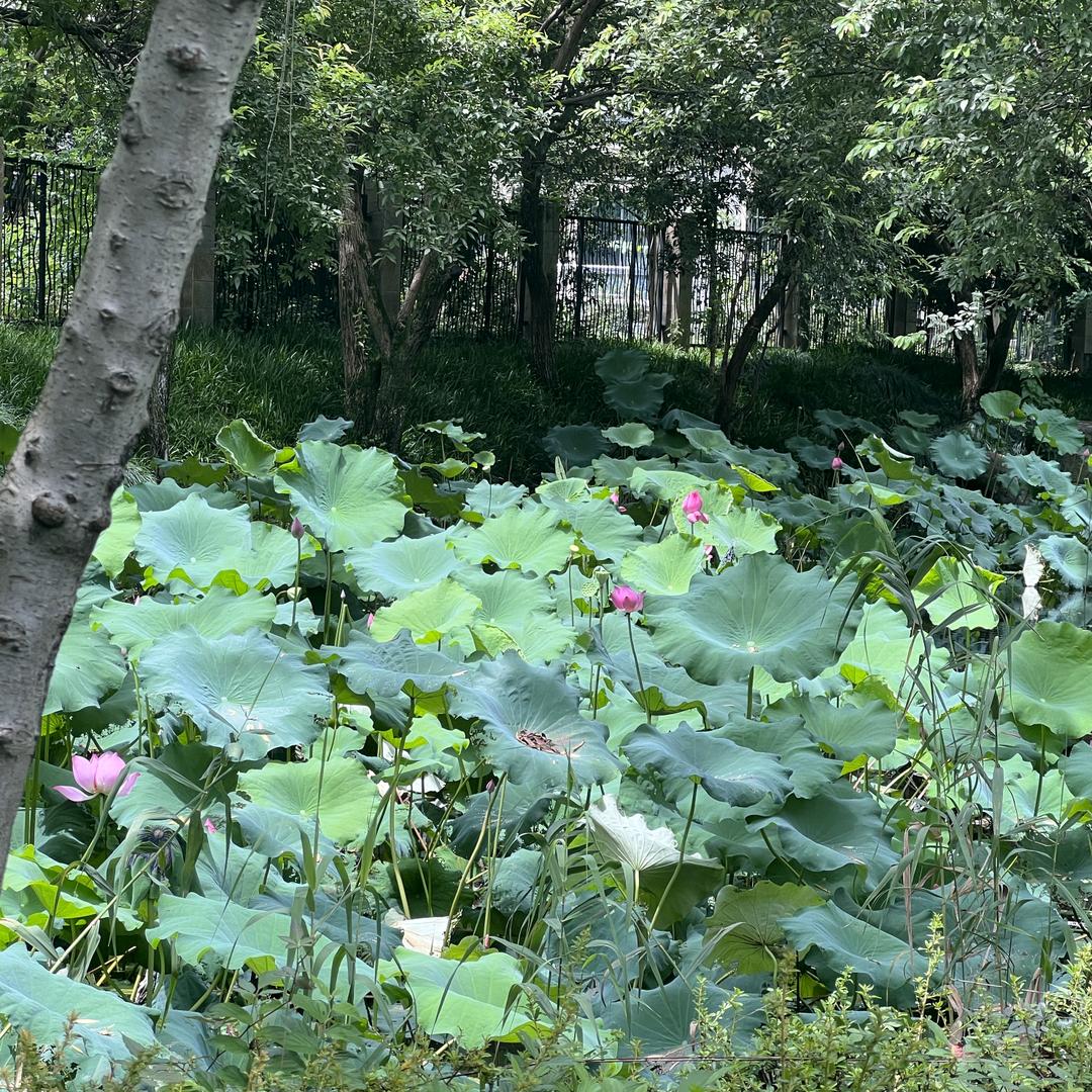 回味往事（拒绝私聊）