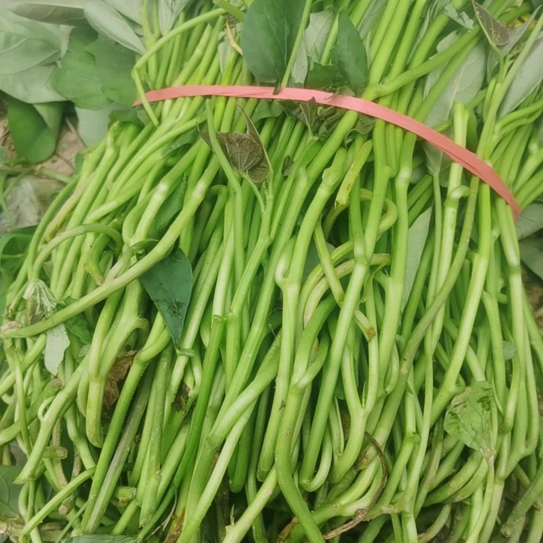阳光