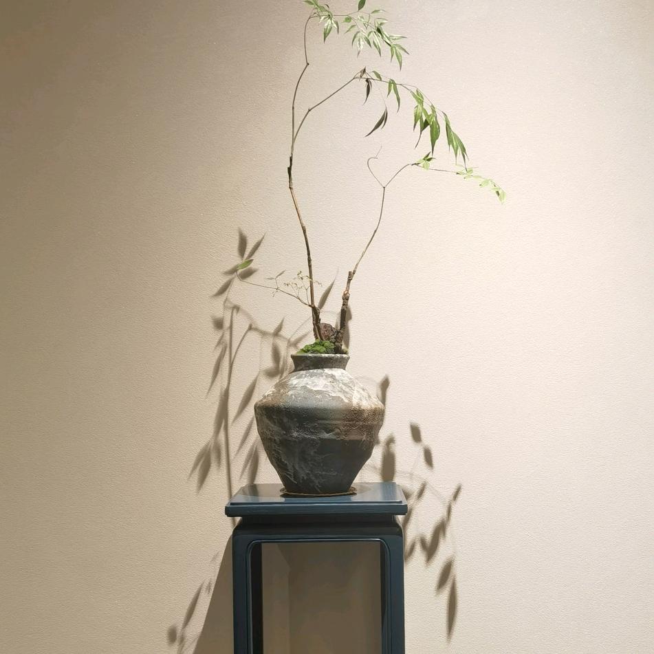 晶灵城堡