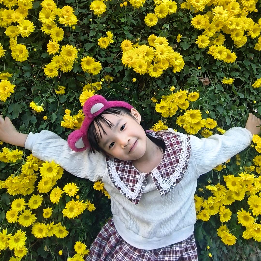 莫莫