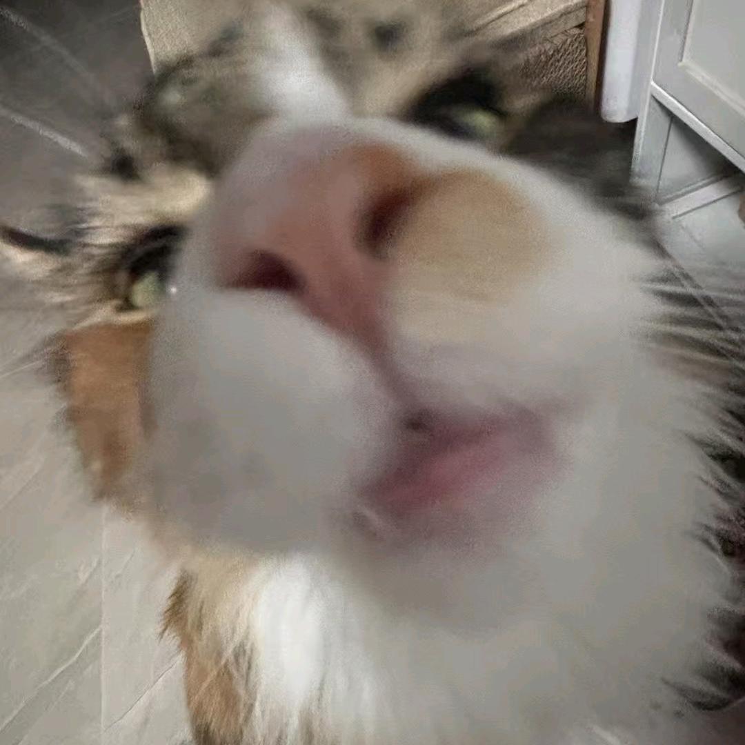 惡樱淚𝗦𝗮𝗸𝘂𝗲𝘃𝗮