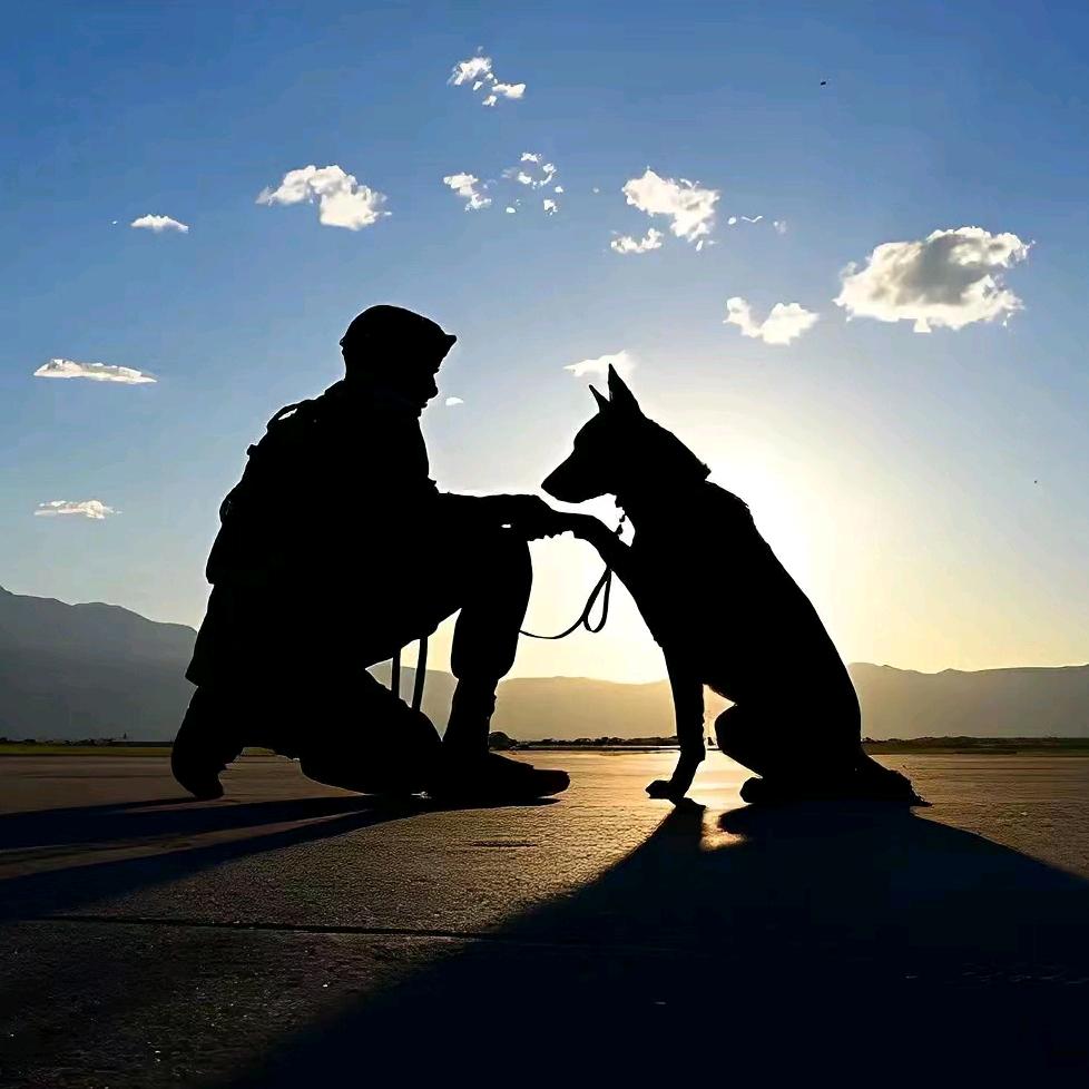 大小是个程老板