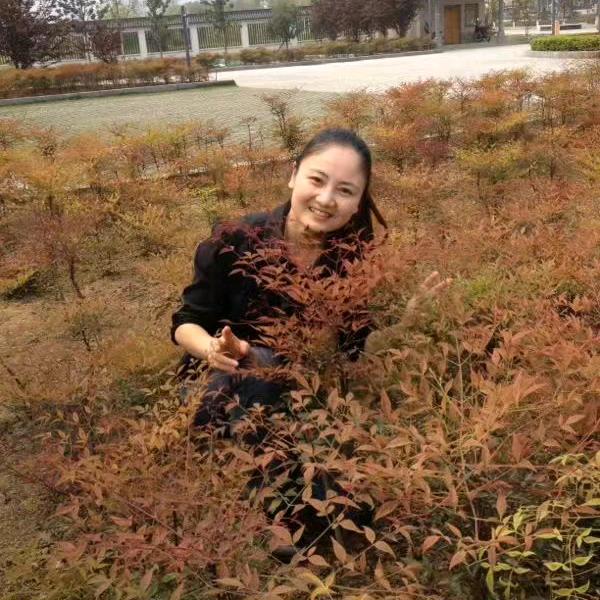 秭归香怡洗果厂