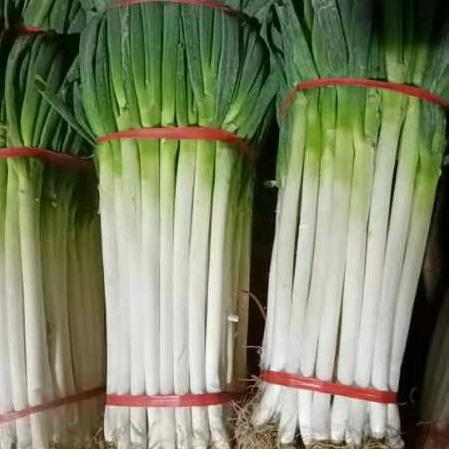 小赵蔬菜产地代收