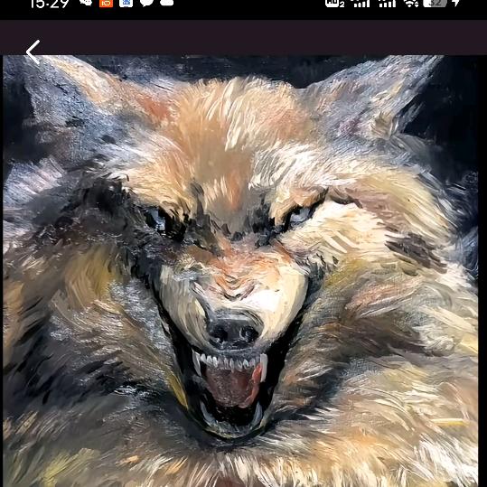天狼🐺