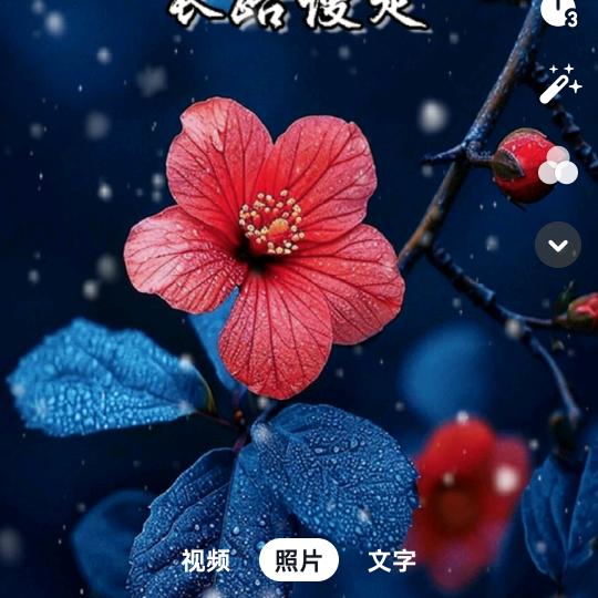 琪雅瑞