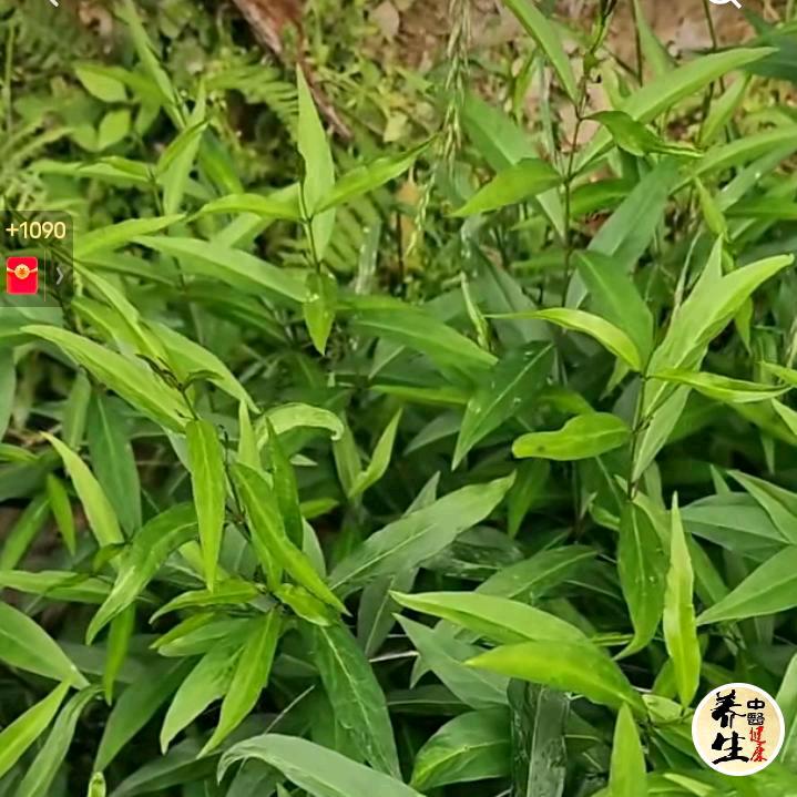 额