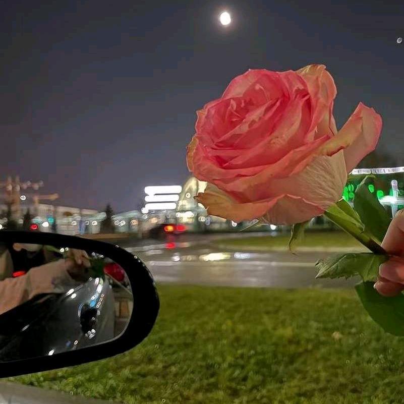 送你一朵小红花