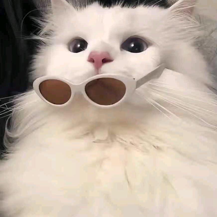 崽了只杨