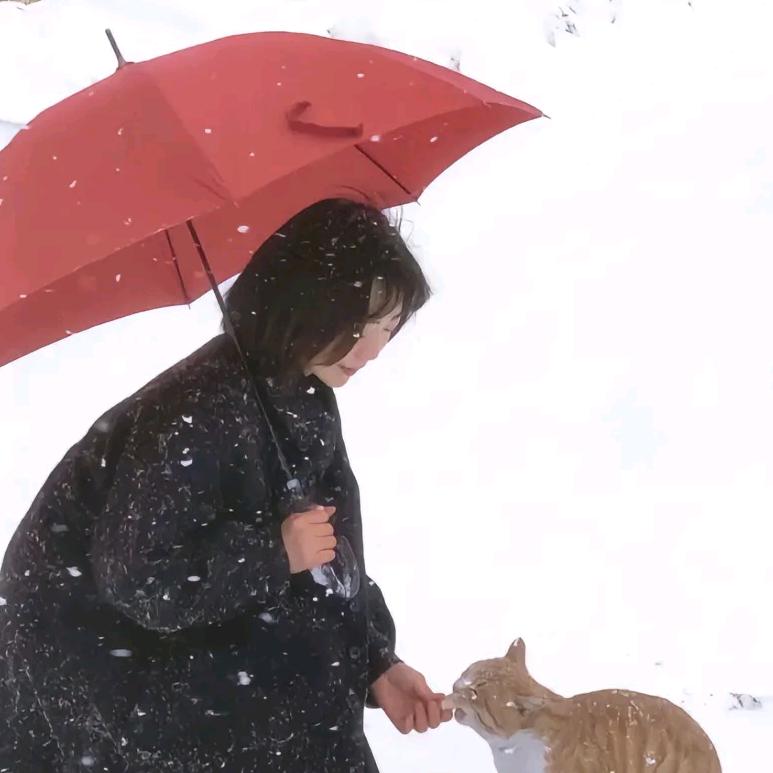 失约的海˃̣̣̥᷄⌓˂̣̣̥᷅