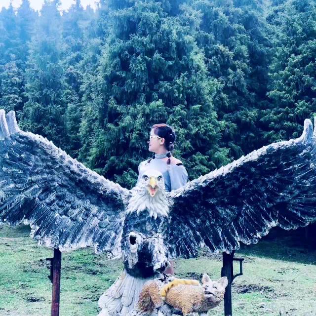 【古丽 】＊大号🖤