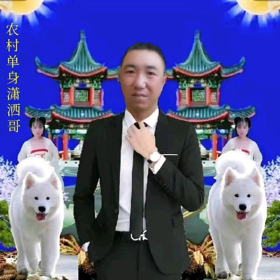 （潇洒哥）我是单身