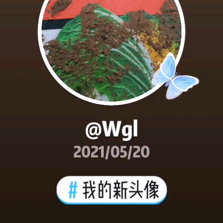 追求梦想