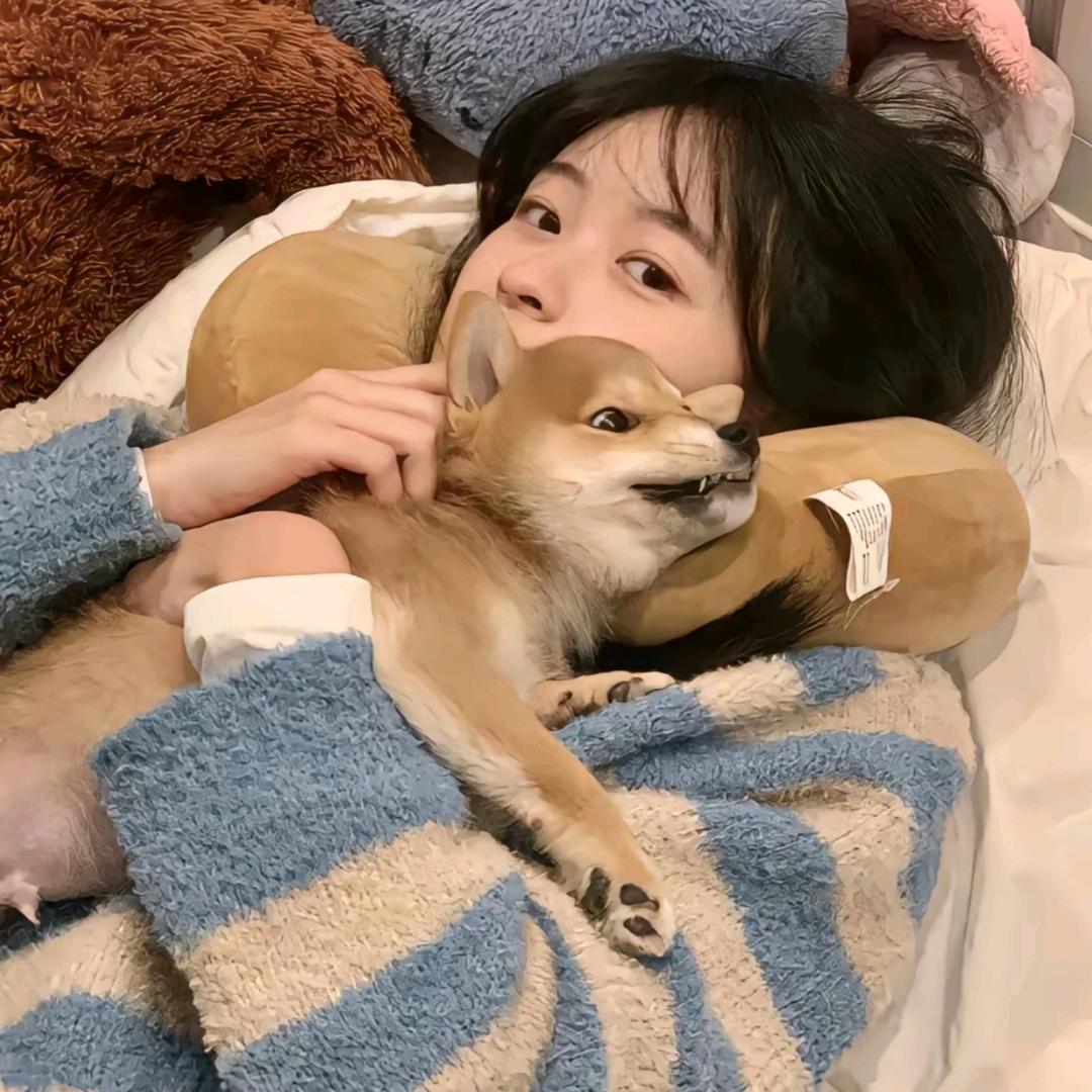 小优y