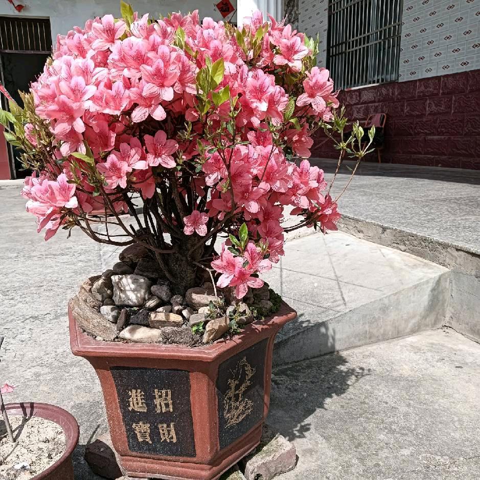 雨后天晴