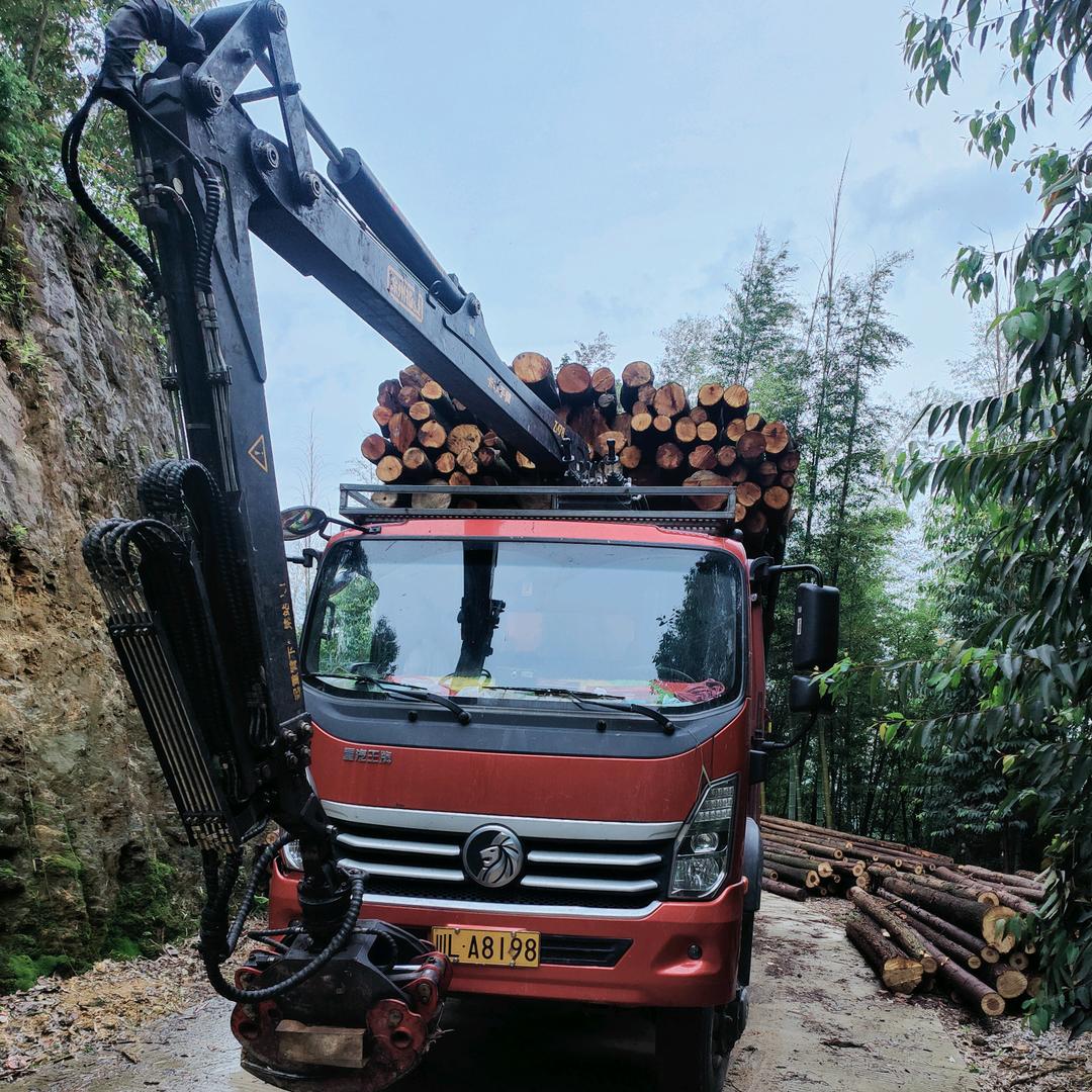 四驱抓车竹木运输【杨】