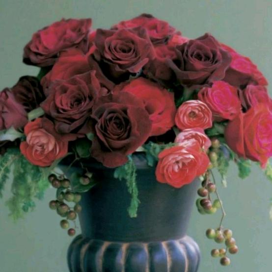 葛姐🌹🌹🌹