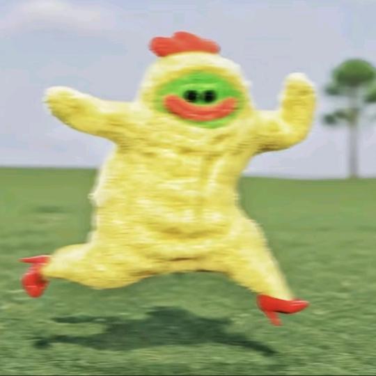 三斤花