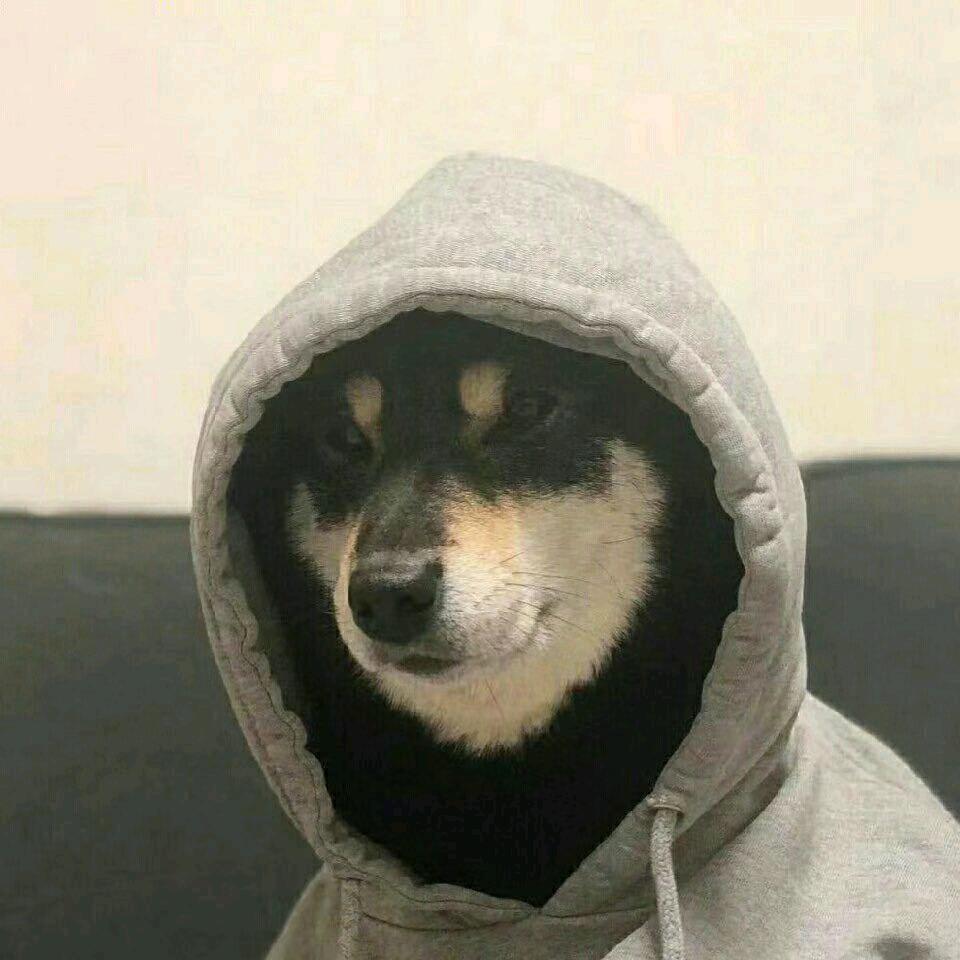 玖贰陆