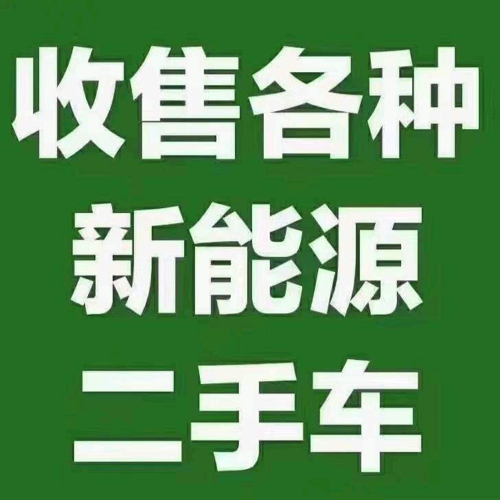 商丘小省子新能源二手车