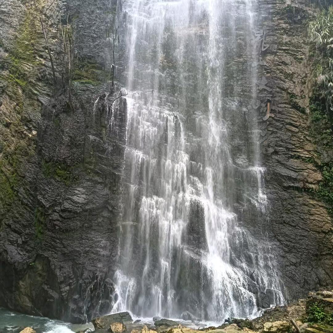 游情浪子what