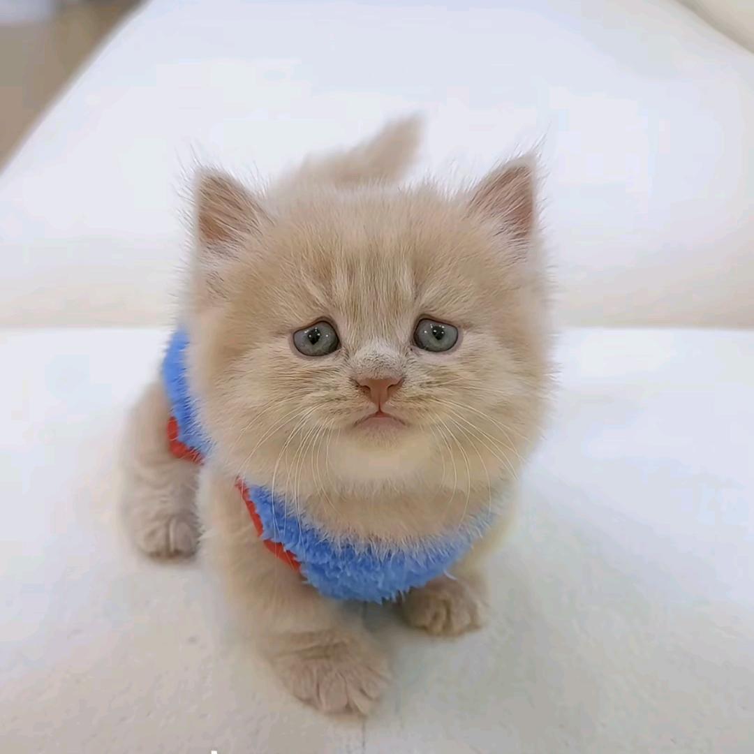 皖，上好